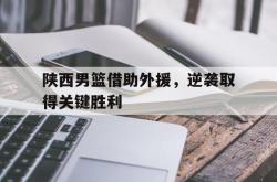 乐鱼体育-陕西男篮借助外援，逆袭取得关键胜利